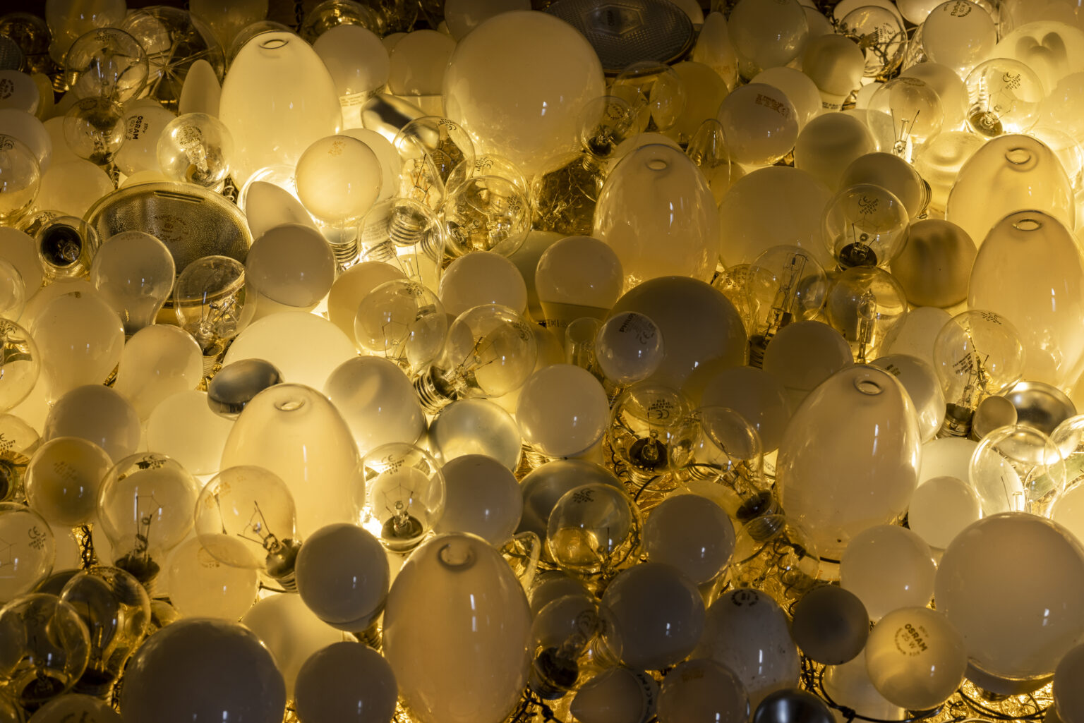 2022-02-04-Sarah-Steger-Abschlussarbeit_093-1536x1025