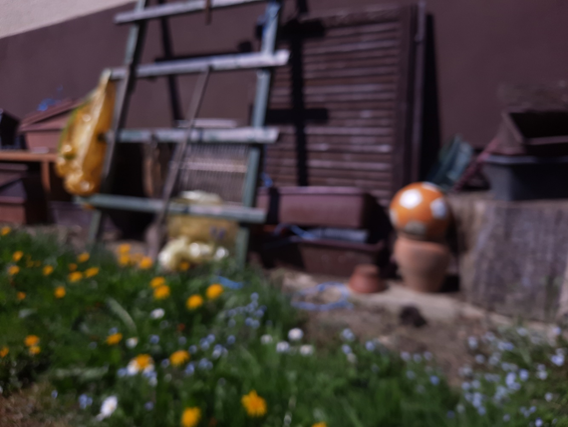 Lucija Klauž, Kložna, 2021, 5