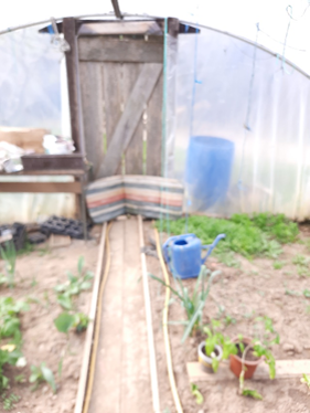 Lucija Klauž, Kložna, 2021