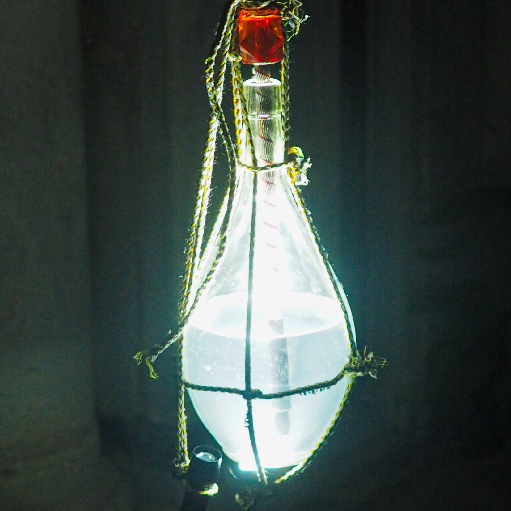 IMP Tunis 2022. Cargo Gang Gang. Credit: Sabra Achour